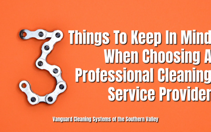 3 Things To Keep In Mind When Choosing A Professional Cleaning Service Provider