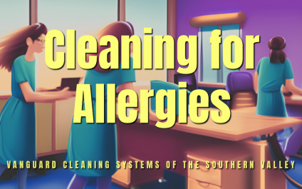 Cleaning for Allergies