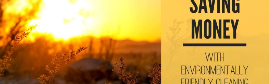 Saving Money With Environmentally Friendly Cleaning