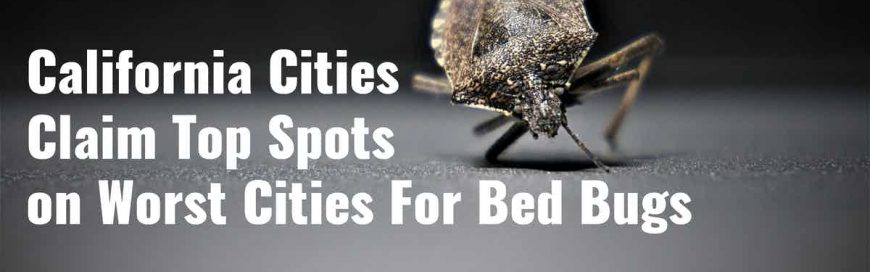 California Cities Claim Top Spots on Worst Cities For Bed Bugs