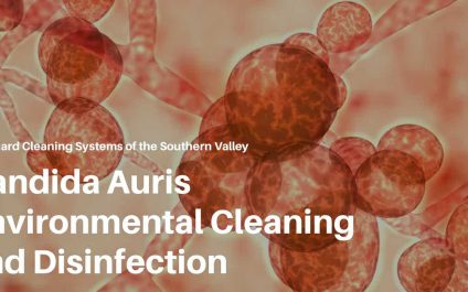 Candida Auris Environmental Cleaning and sanitization