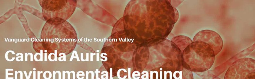 Candida Auris Environmental Cleaning and sanitization