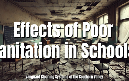 Effects of Poor Sanitation in Schools [VIDEO]
