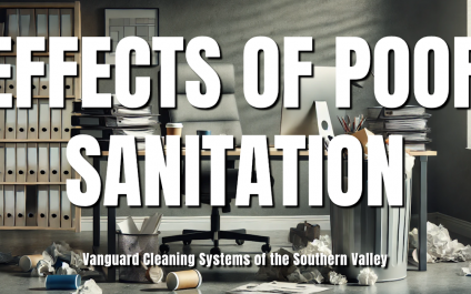 Effects of Poor Sanitation [VIDEO]