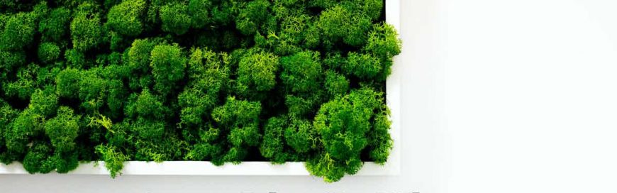 Green-Friendly Offices