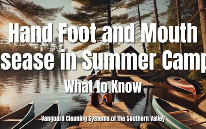 Hand Foot and Mouth Disease in Summer Camps: What to Know