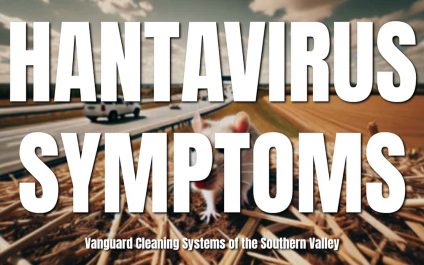 Hantavirus Symptoms