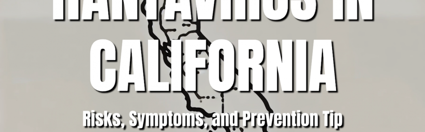 Hantavirus in California: Risks, Symptoms, and Prevention Tips