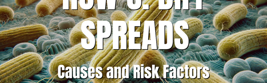 How C. diff Spreads: Causes and Risk Factors