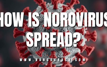 How is Norovirus Spread?