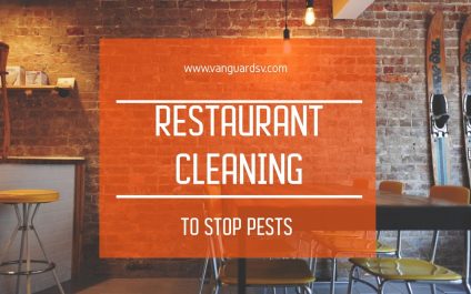 Restaurant Cleaning to Stop Pests