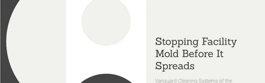 Stopping Facility Mold Before It Spreads