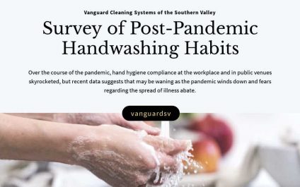 Survey of Post-Pandemic Handwashing Habits