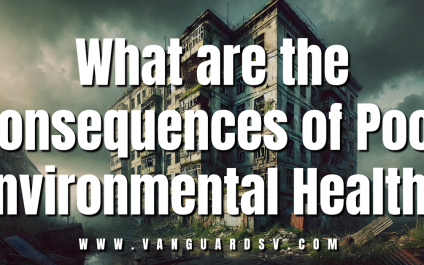 What are the Consequences of Poor Environmental Health? [VIDEO]