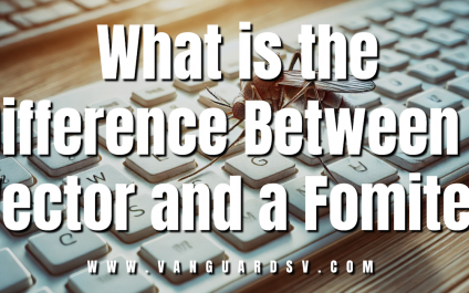 What is the Difference Between a Vector and a Fomite?