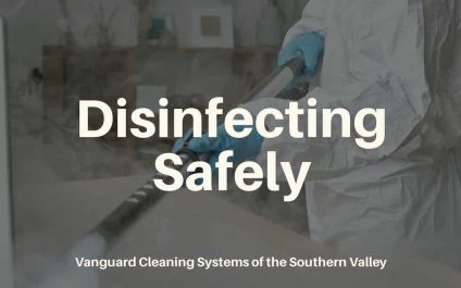 sanitizing Safely