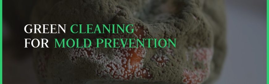 Green Cleaning for Mold Prevention