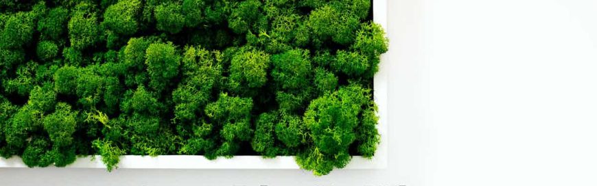 Green-Friendly Offices