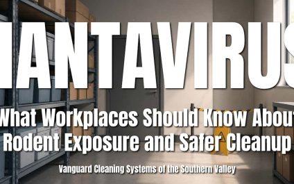 Hantavirus: What Workplaces Should Know About Rodent Exposure and Safer Cleanup