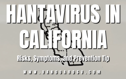 Hantavirus in California: Risks, Symptoms, and Prevention Tips