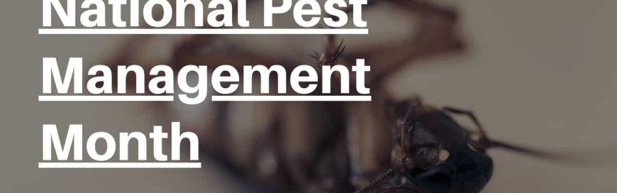 National Pest Management Month
