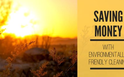 Saving Money With Environmentally Friendly Cleaning