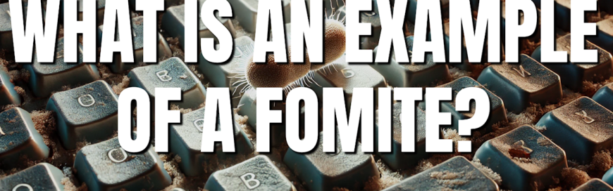 What is an Example of a Fomite? [VIDEO]