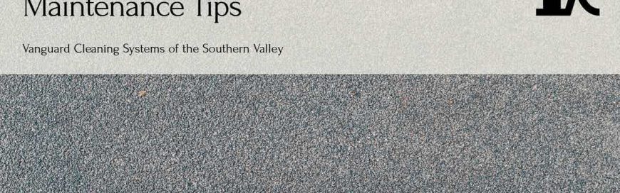 Carpet Cleaning Maintenance Tips