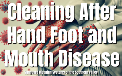 Cleaning After Hand Foot and Mouth Disease [VIDEO]