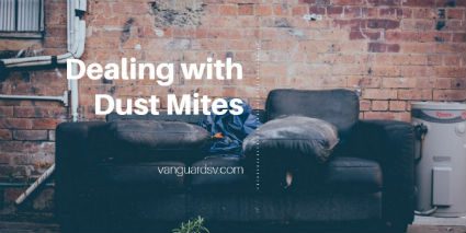 Cleaning Services – Dealing with Dust Mites