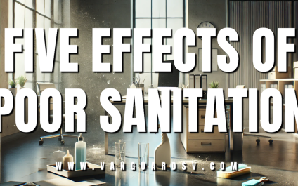 Five Effects of Poor Sanitation [VIDEO]