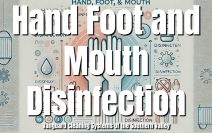 Hand Foot and Mouth sanitization [VIDEO]
