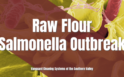 Raw Flour Salmonella Outbreak
