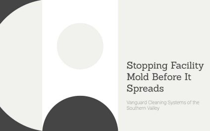 Stopping Facility Mold Before It Spreads