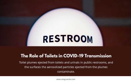 The Role of Toilets in COVID-19 Transmission