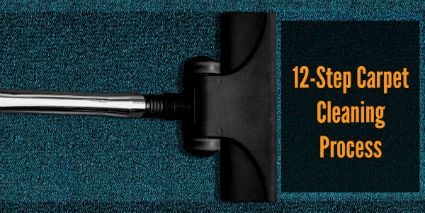Twelve Step Carpet Cleaning Process