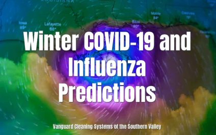 Winter COVID-19 and Influenza Predictions