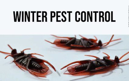 Winter Pest Control