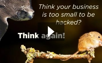Think your business is too small to be hacked? Think again!