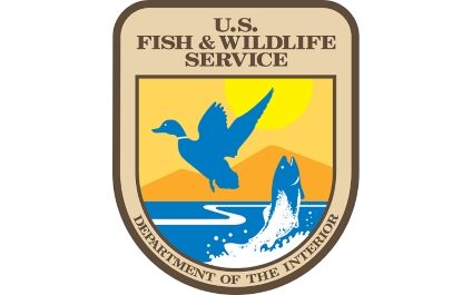 US Department of Fish and Wildlife Goes Green
