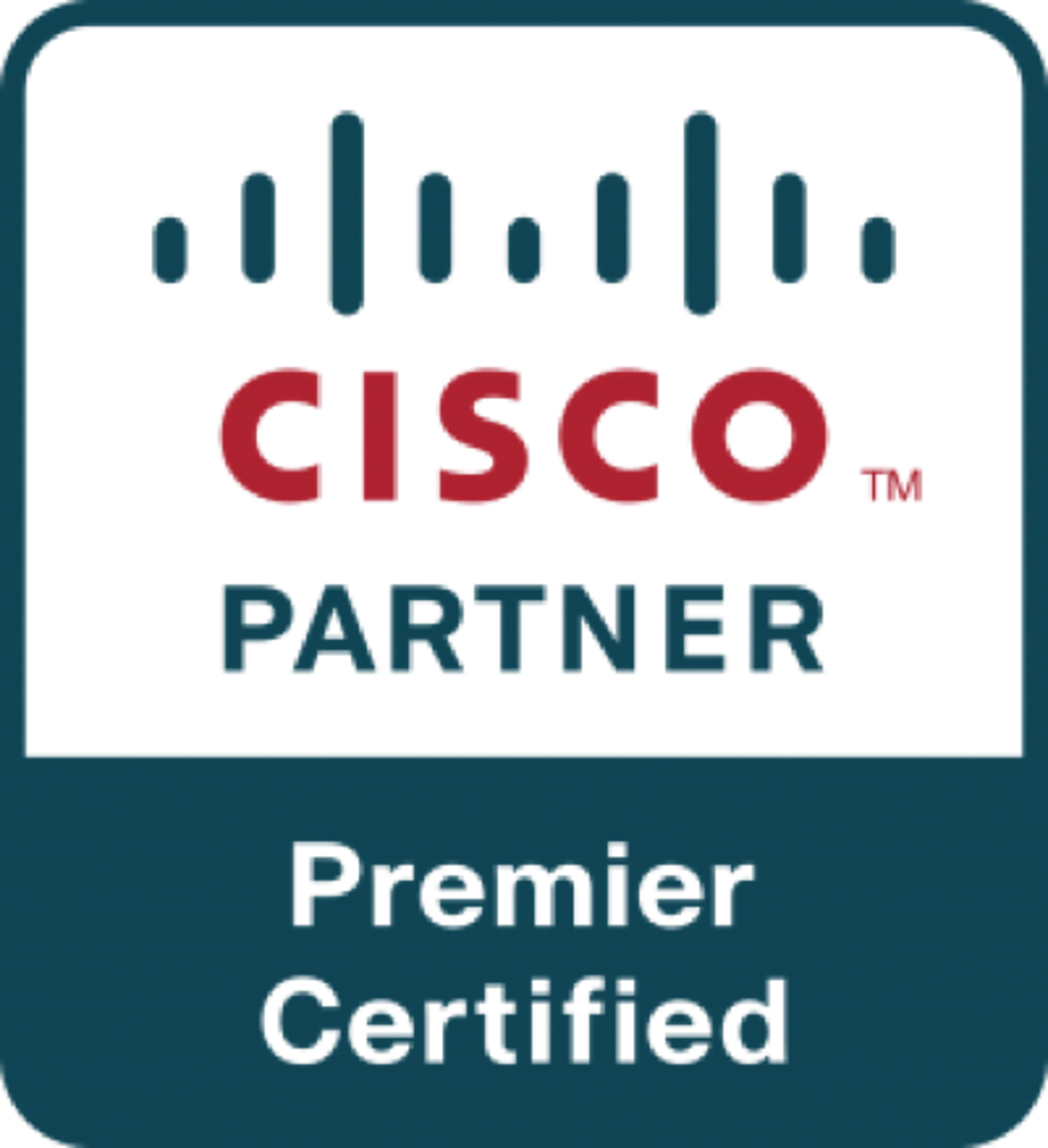 Cisco Partner