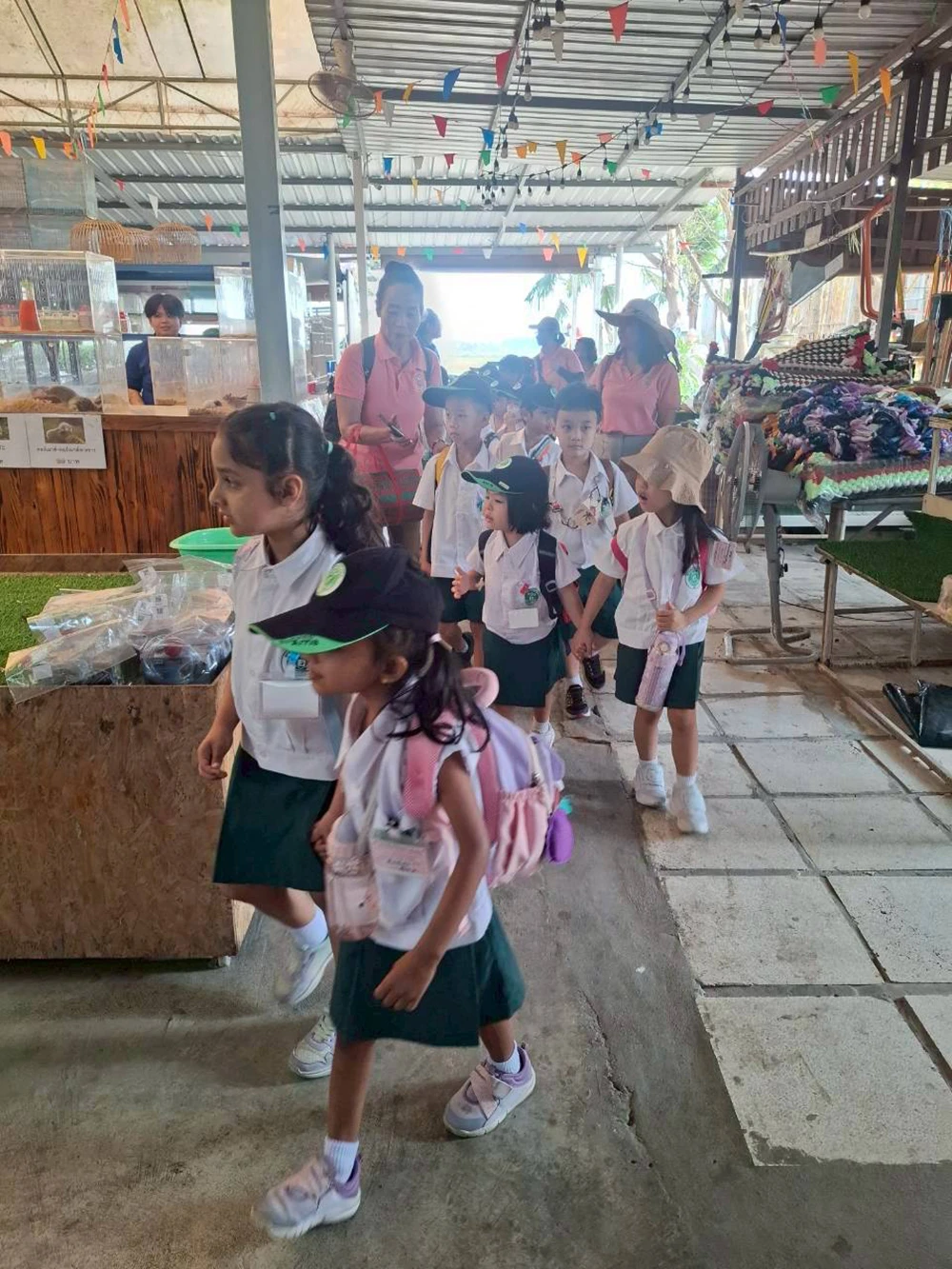 line_album_pk_260210_5-min