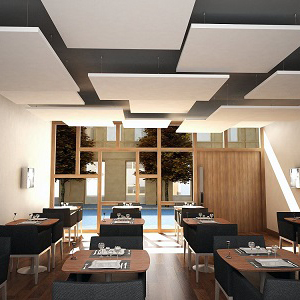 Acoustic Ceiling Panels For Restaurants