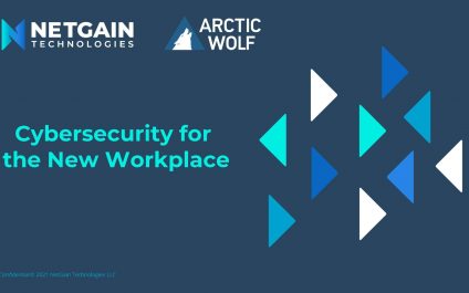Cybersecurity in the New Workplace Webinar