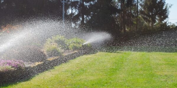 May Landscape Maintenance in the Phoenix Climate - Phoenix, Mesa ...