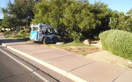 Commercial Landscaping Services in Phoenix, AZ – Before and Afters