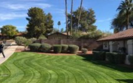 Rejuvenating Your Lawn for the Summer