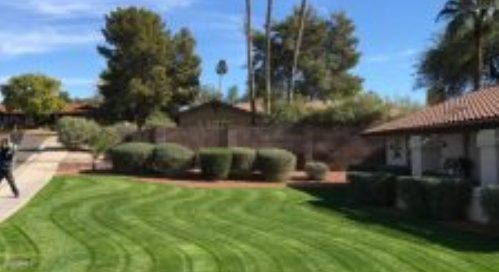 Rejuvenating Your Lawn for the Summer