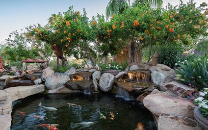 The ROI of Professional Landscape Design: Investing in Your Outdoor Oasis