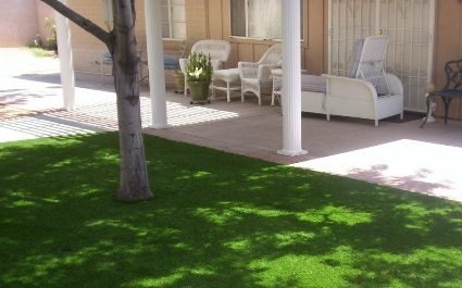 Install Artificial Grass in Your Phoenix, AZ Home’s Yard